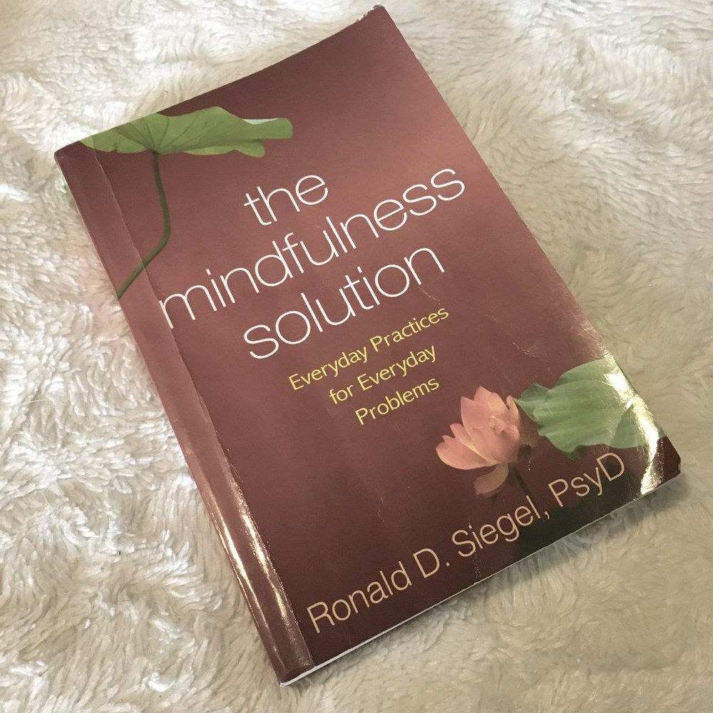 'The Mindfulness Solution' Ronald Siegel Softcover Book Everyday Practice Copy 2